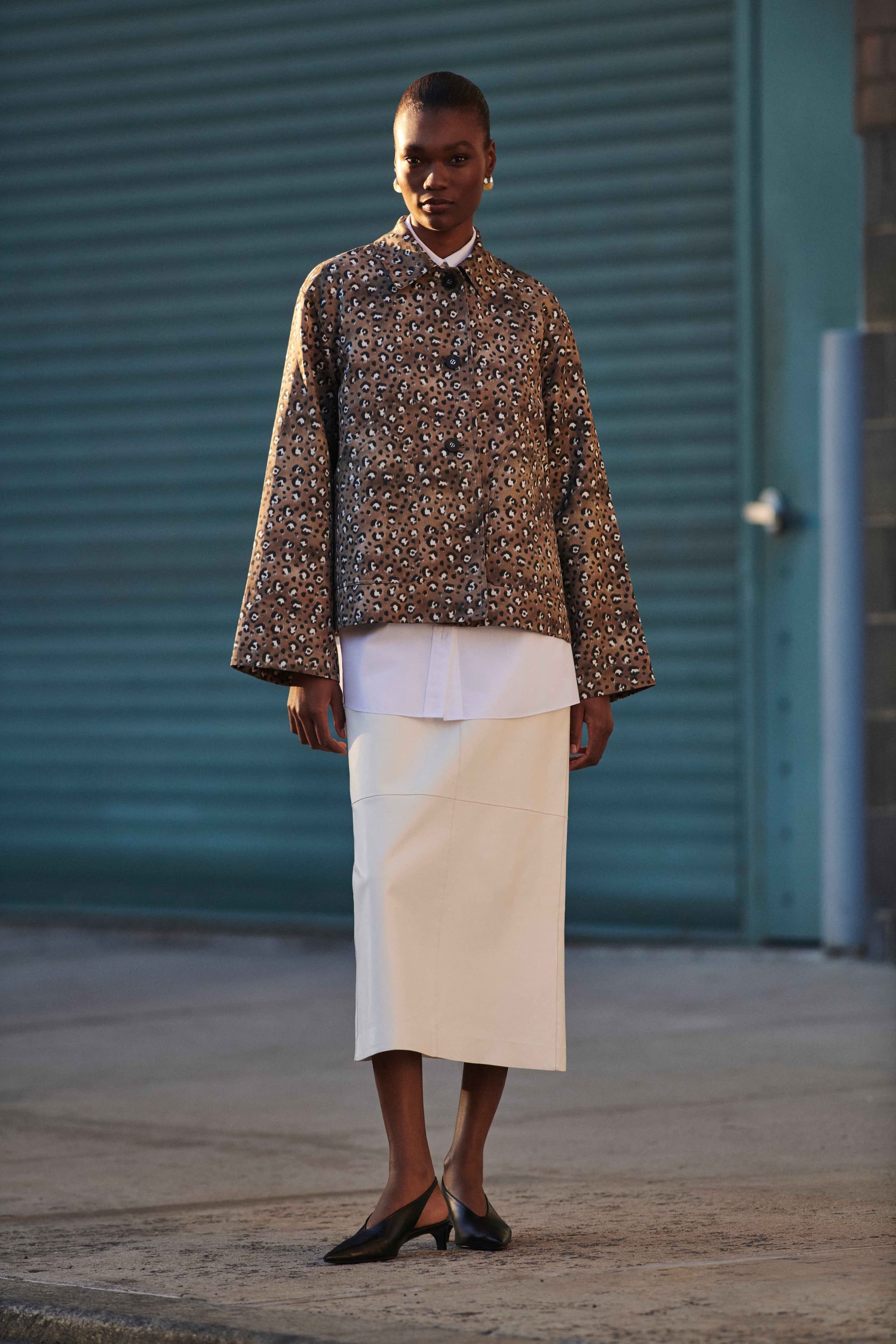 Image1_Leopard
