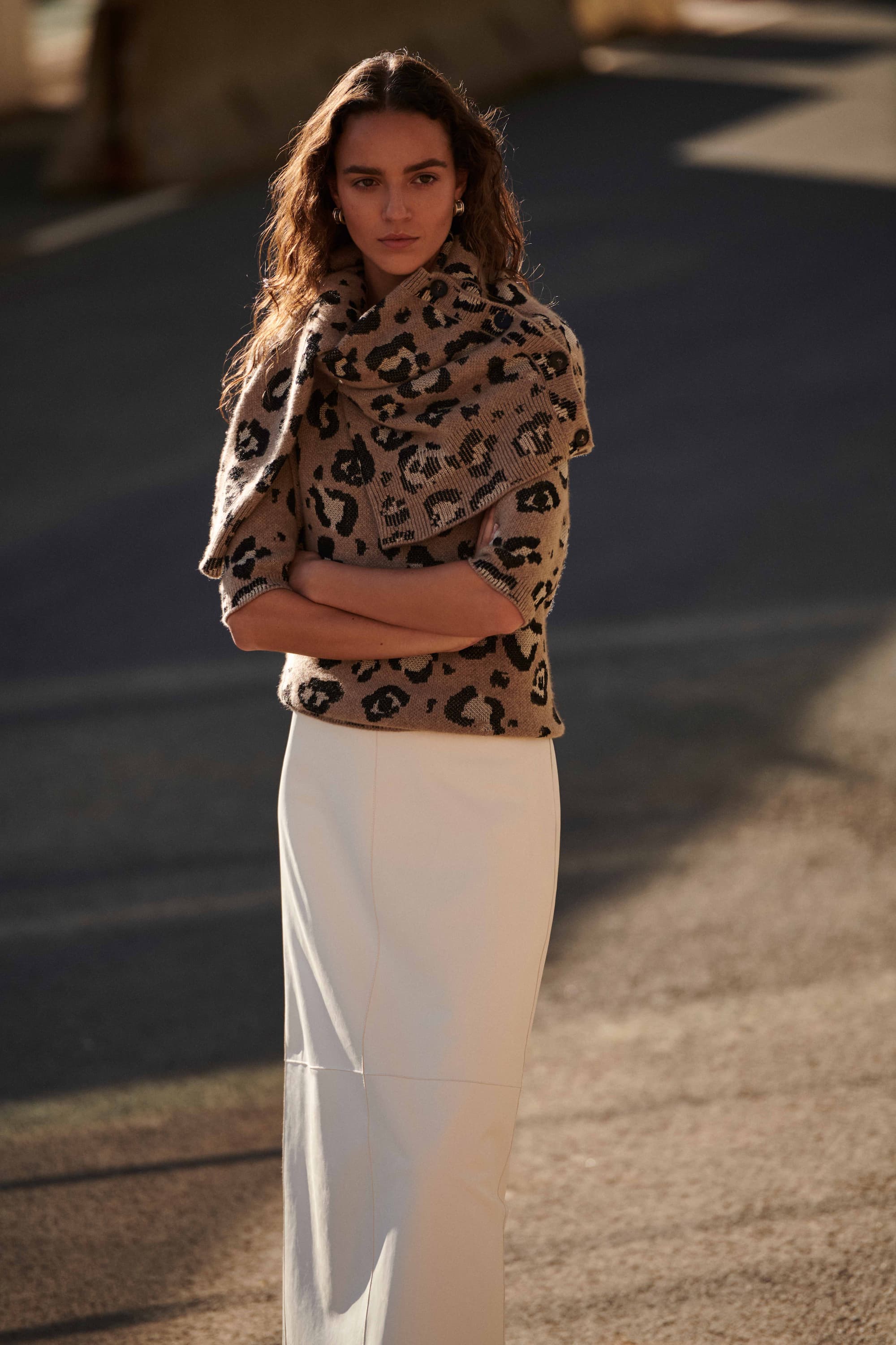 Image1_Leopard