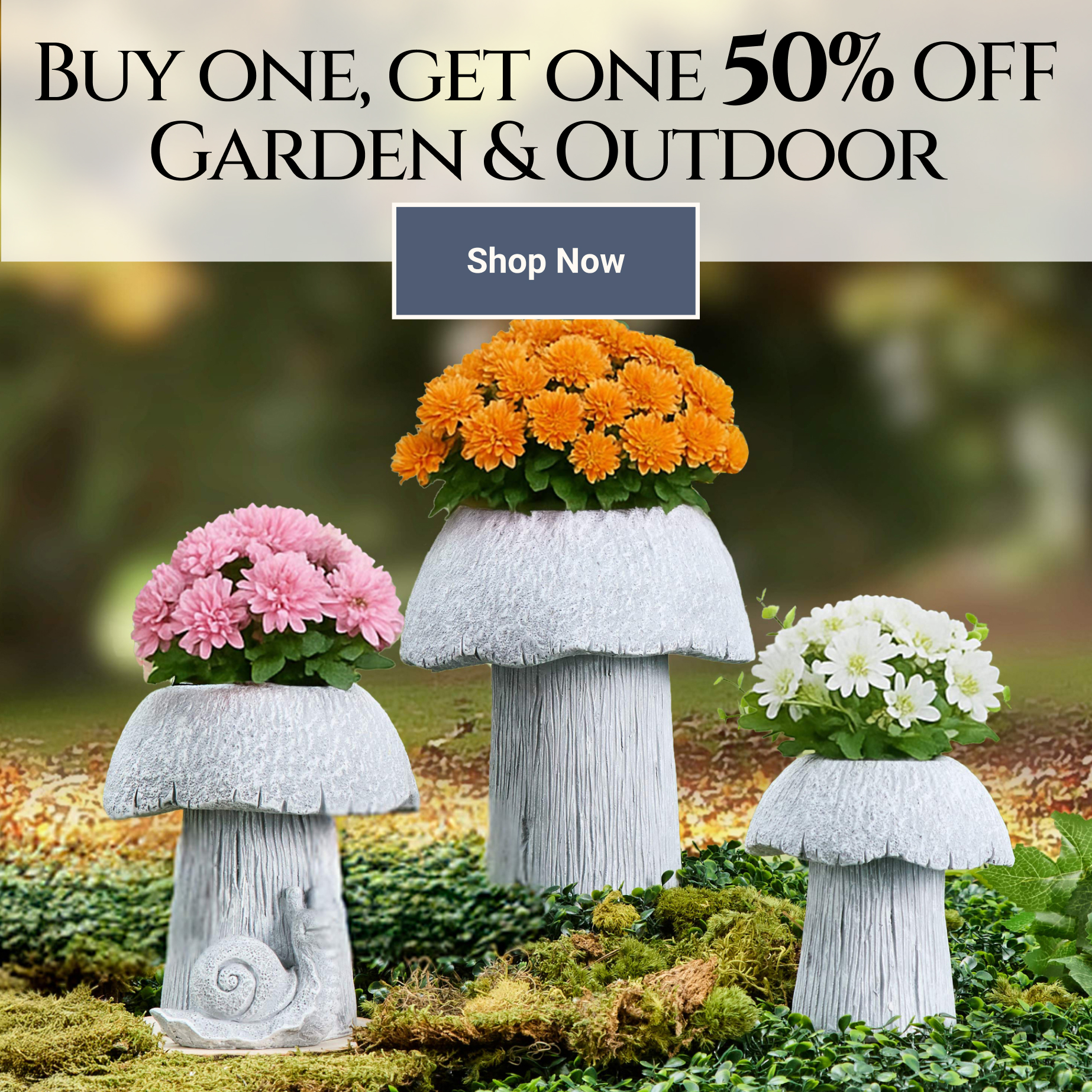 Garden & Outdoor