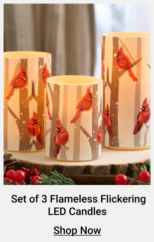 Flameless Flickering LED Candles with Winter Art- Set of 3