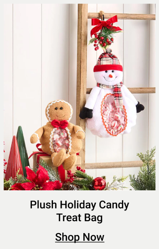 Plush Holiday Candy Treat Bag - Gingerbread Man or Snowman