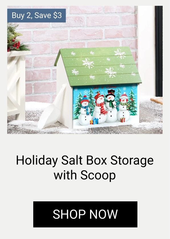 Holiday Decorative Outdoor Salt Box Storage with Scoop
