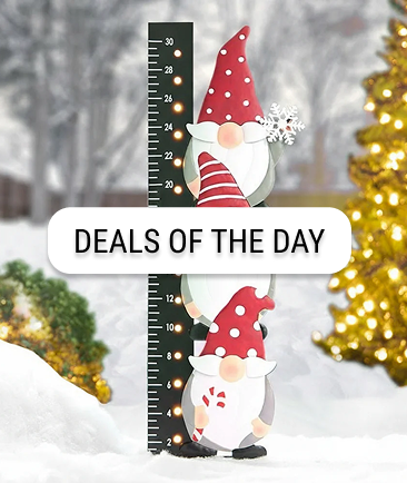 Deals of the Day