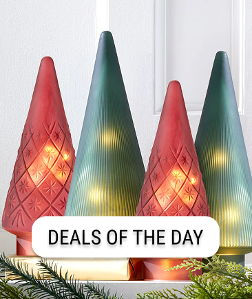 Deals of the Day
