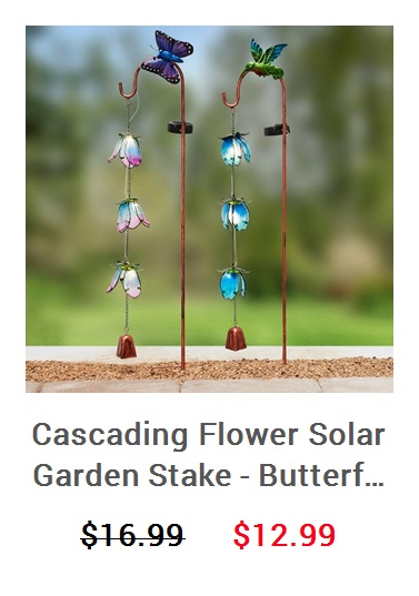 View product recommended for you