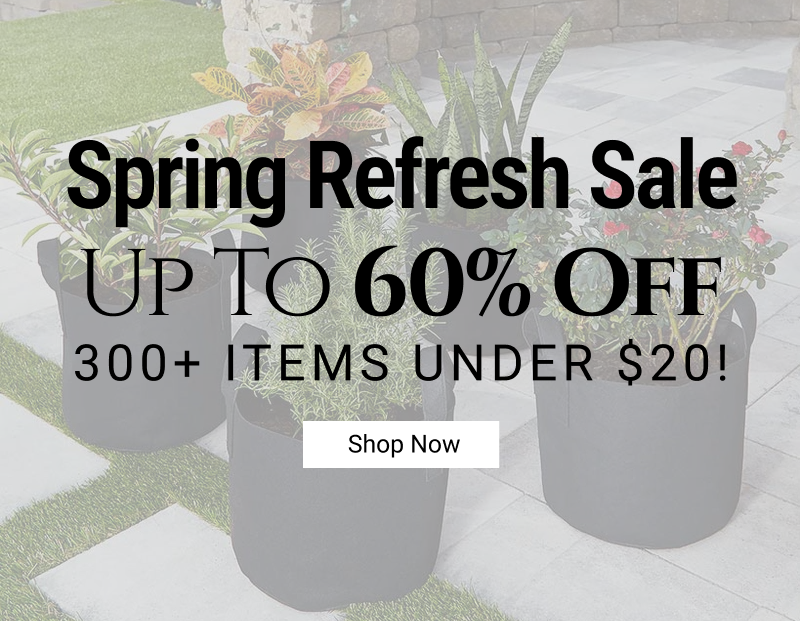 Featured Deals