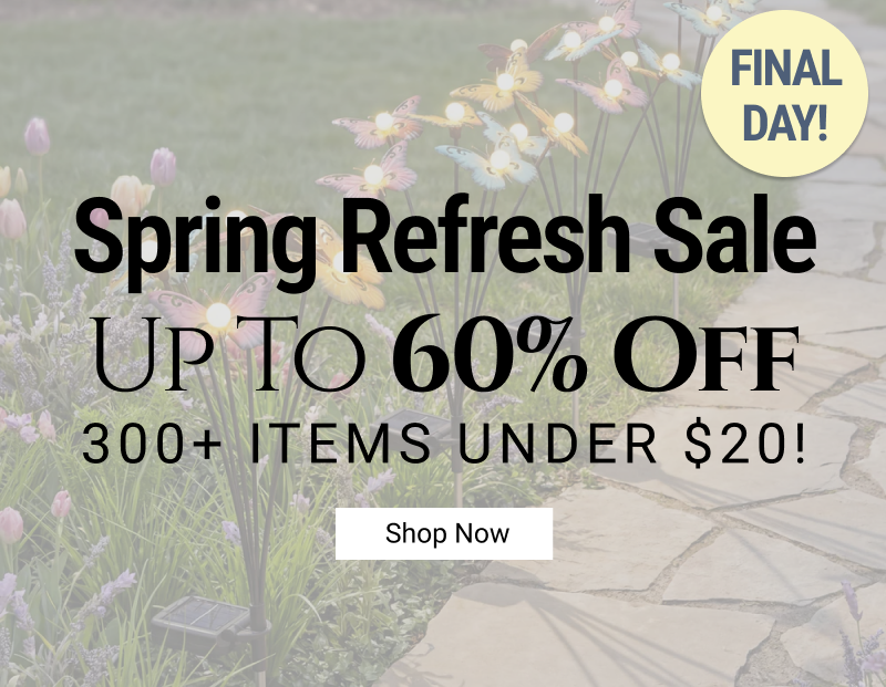 Featured Deals