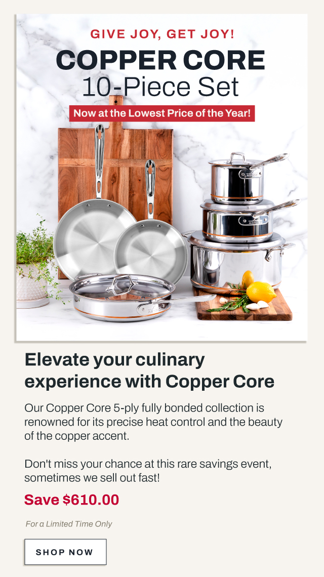 Shop Copper Core 10 piece set