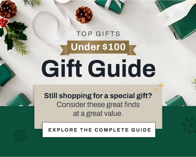 Under $100 Gift Guide