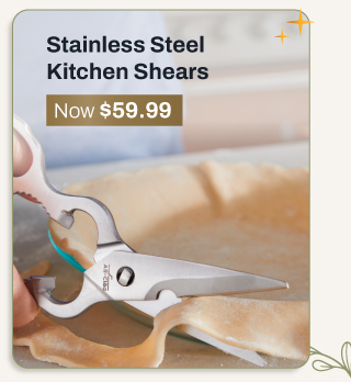Stainless steel kitchen shears