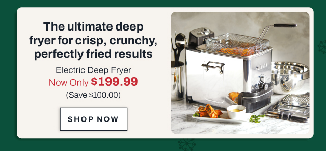 Electric deep fryer - shop now