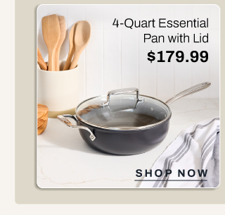 4 qt. essential pan