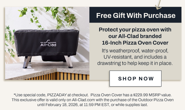 Shop now for the pizza oven - includes cover