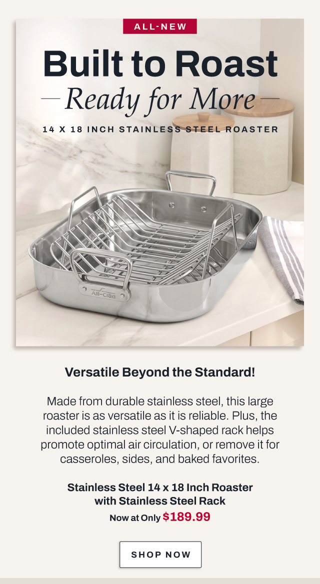 Stainless steel 14 x 18 inch roaster - shop now