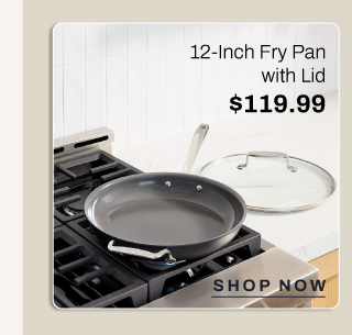 12 inch fry pan with lid - shop now