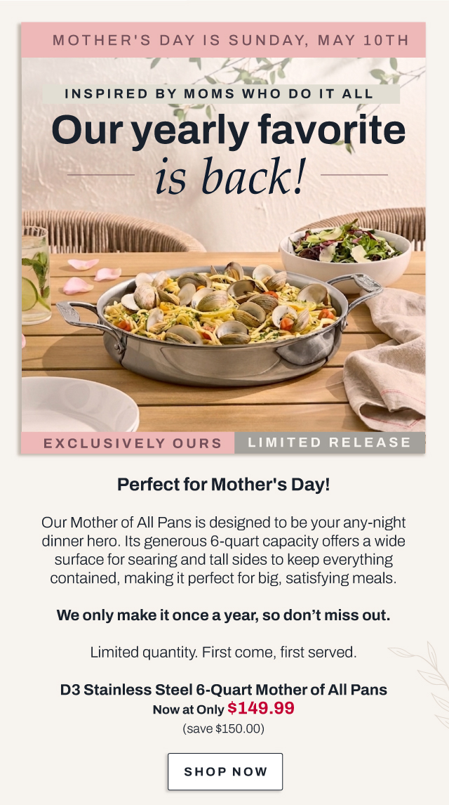D3 Stainless 6 qt mother of all pans - shop now