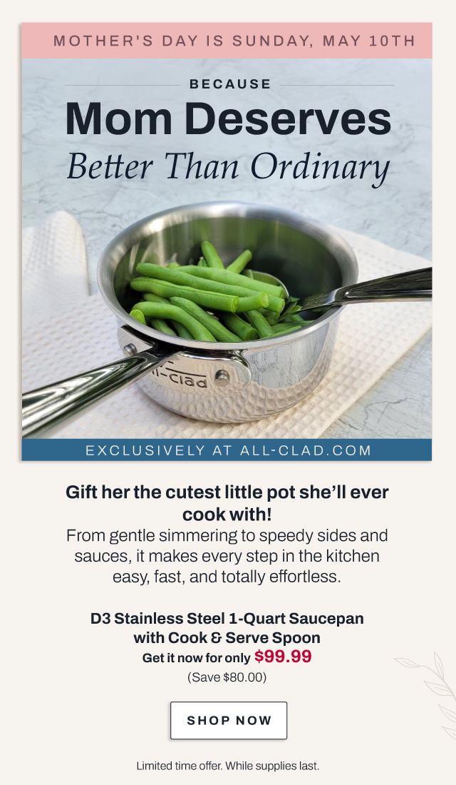 D3 1 qt. sauce pan with spoon - shop now