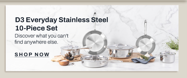 D3 Everyday stainless 10 piece set