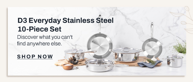 D3 Everyday stainless 10 piece set
