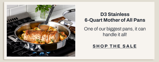 D3 Stainless Mother of all pans