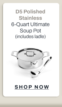 D5 Polished stainless 6 quart ultimate soup pot