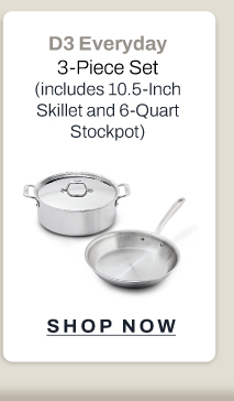 D3 Everyday stainless 3 piece set