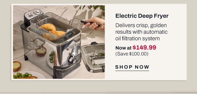 Electric deep fryer