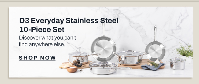 D3 Everyday Stainless Steel 10 pc set-shop now