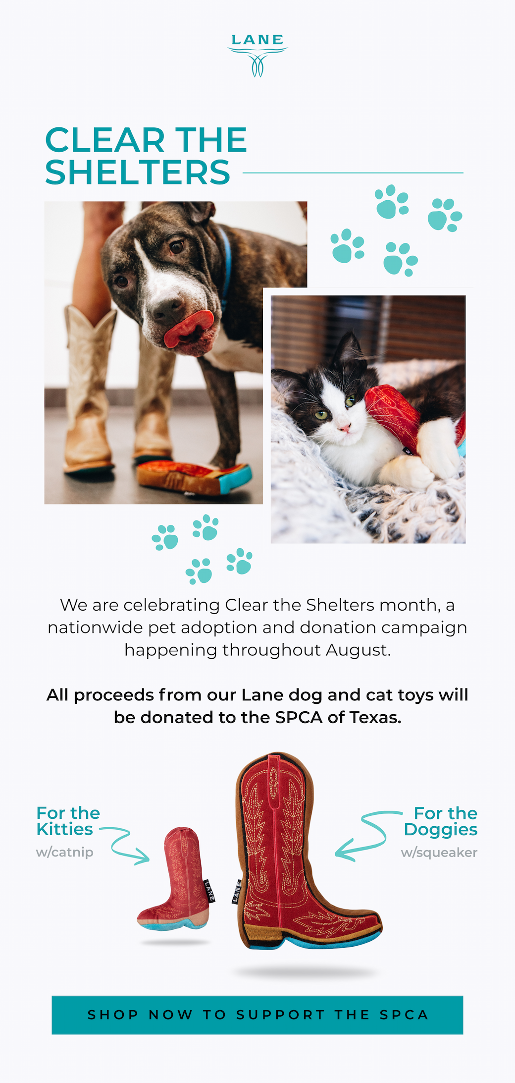 Support the SPCA of Texas
