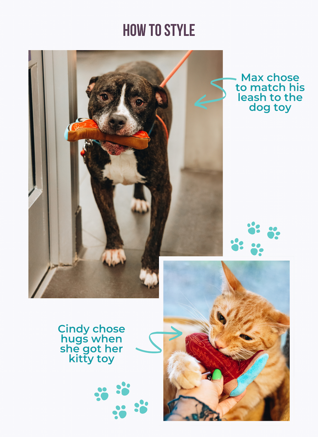 Lane x Texas SPCA