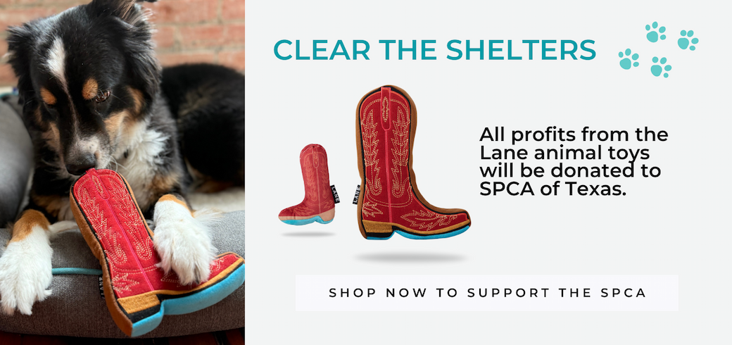 SPCA of Texas