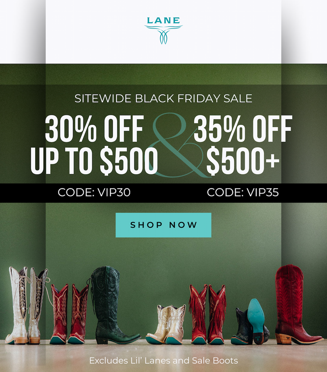 VIP Black Friday