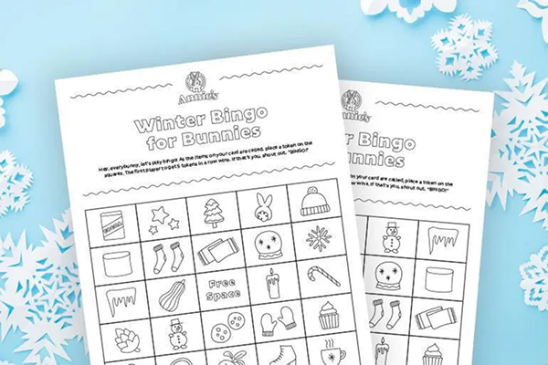 Winter Bingo for Bunnies