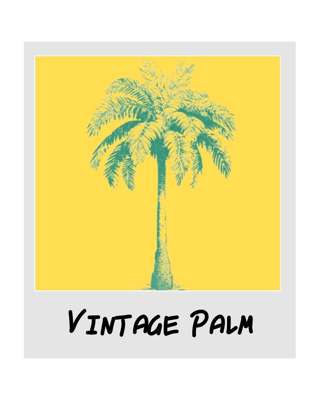 polaroid of teal palm tree on yellow background