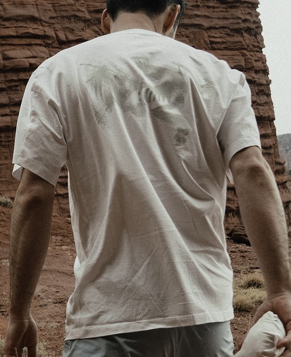 Shirts Men's