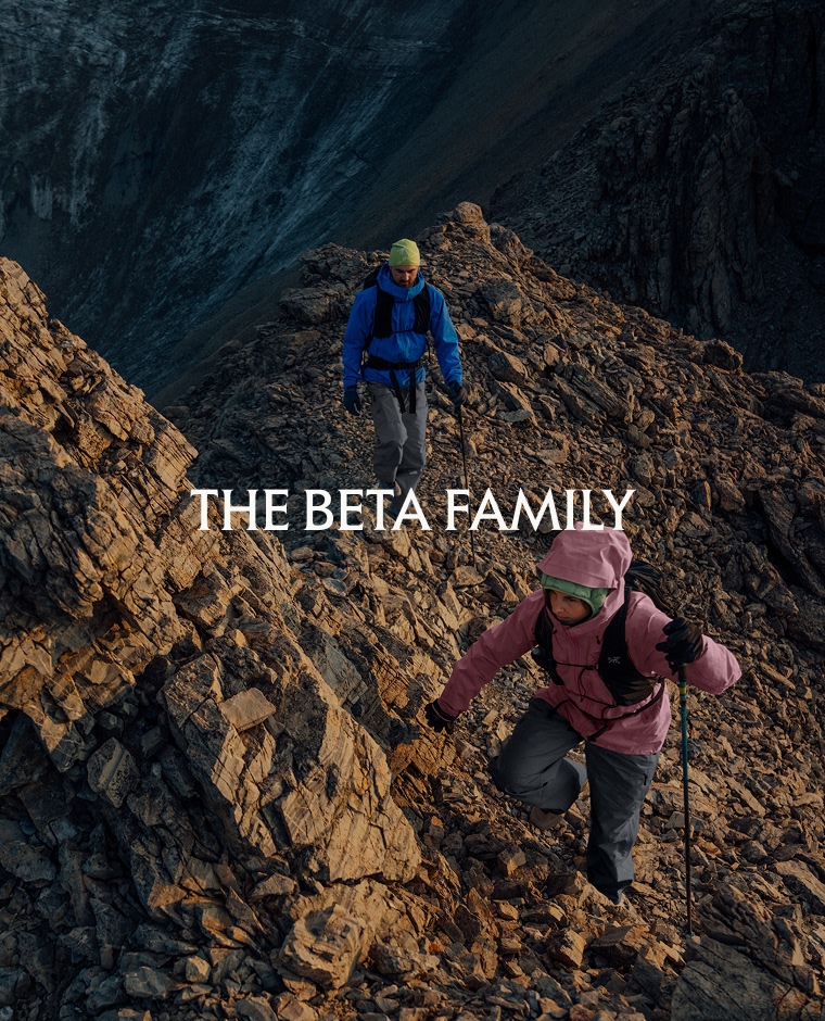 The Beta Family