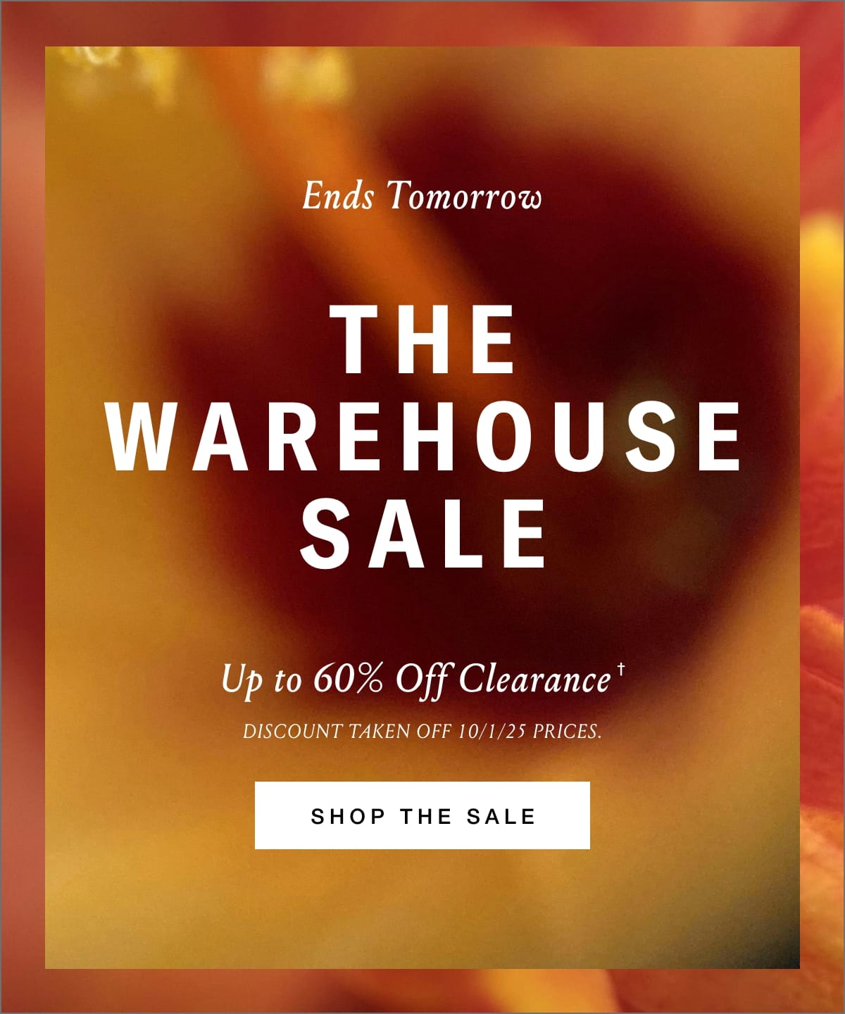 Shop the Sale
