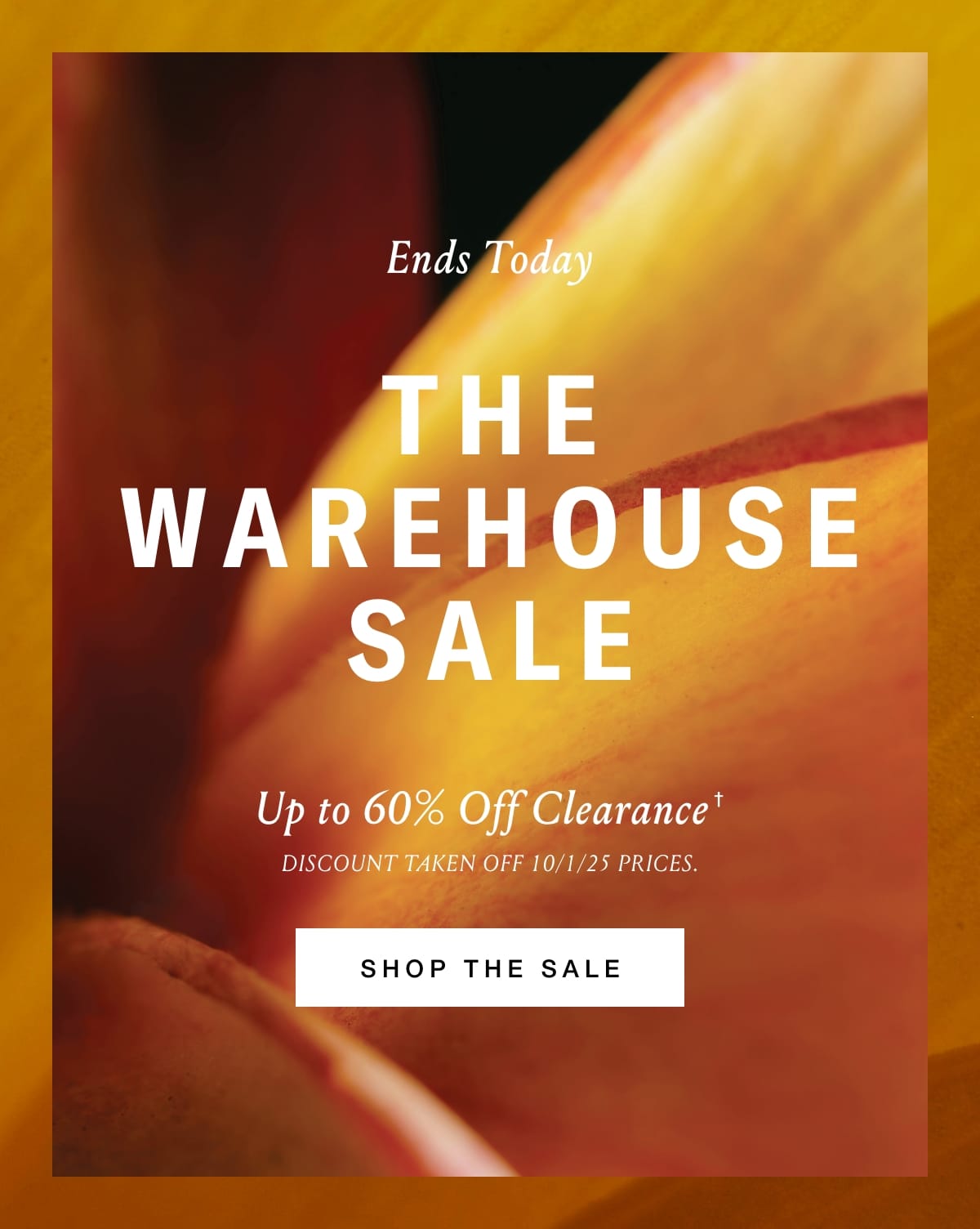 Shop the Sale