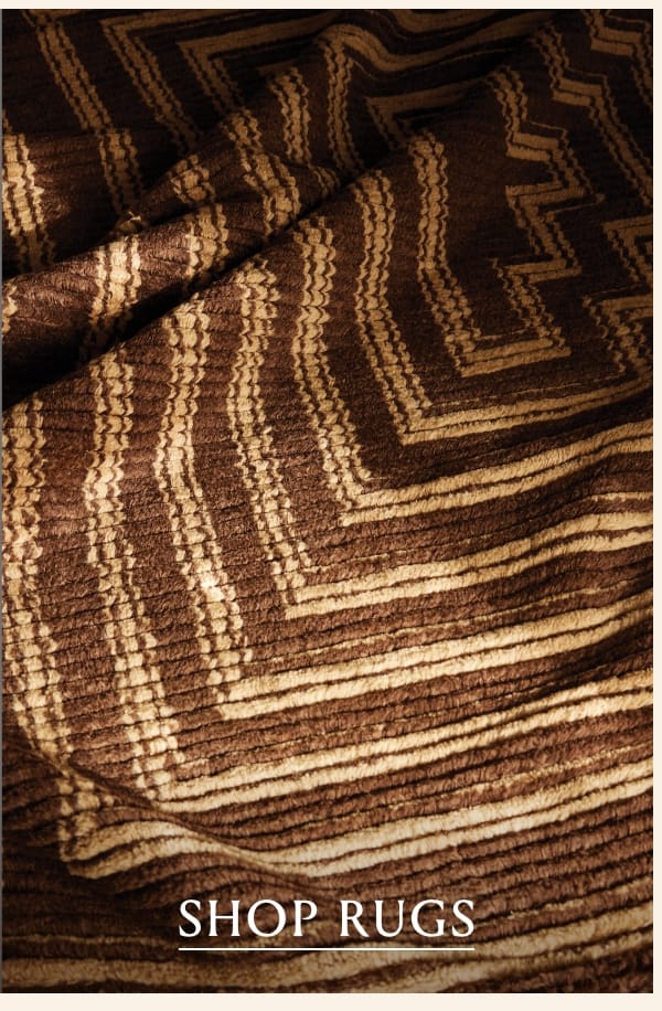 Shop Rugs