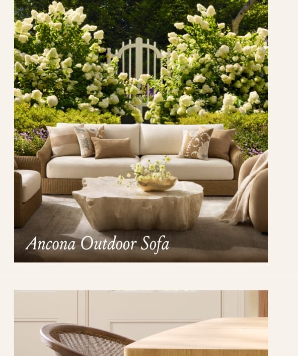Shop Ancona 
