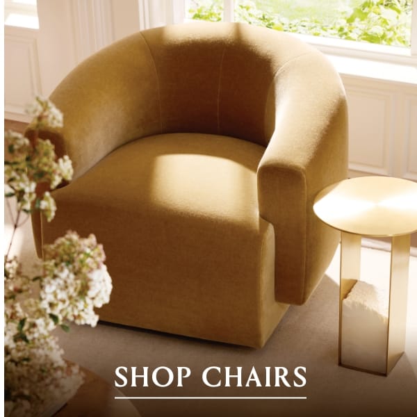 Shop Accent Chairs