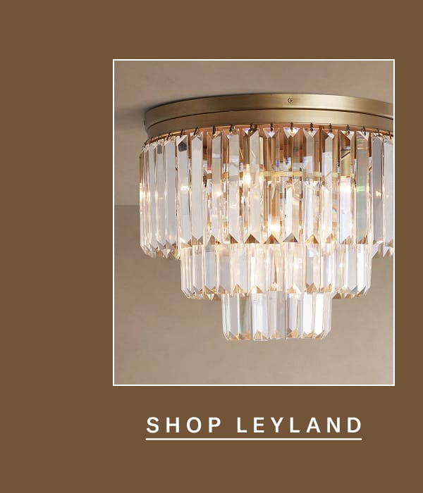 Shop Leyland