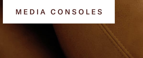 Media Consoles