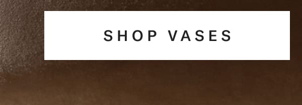 Shop Vases