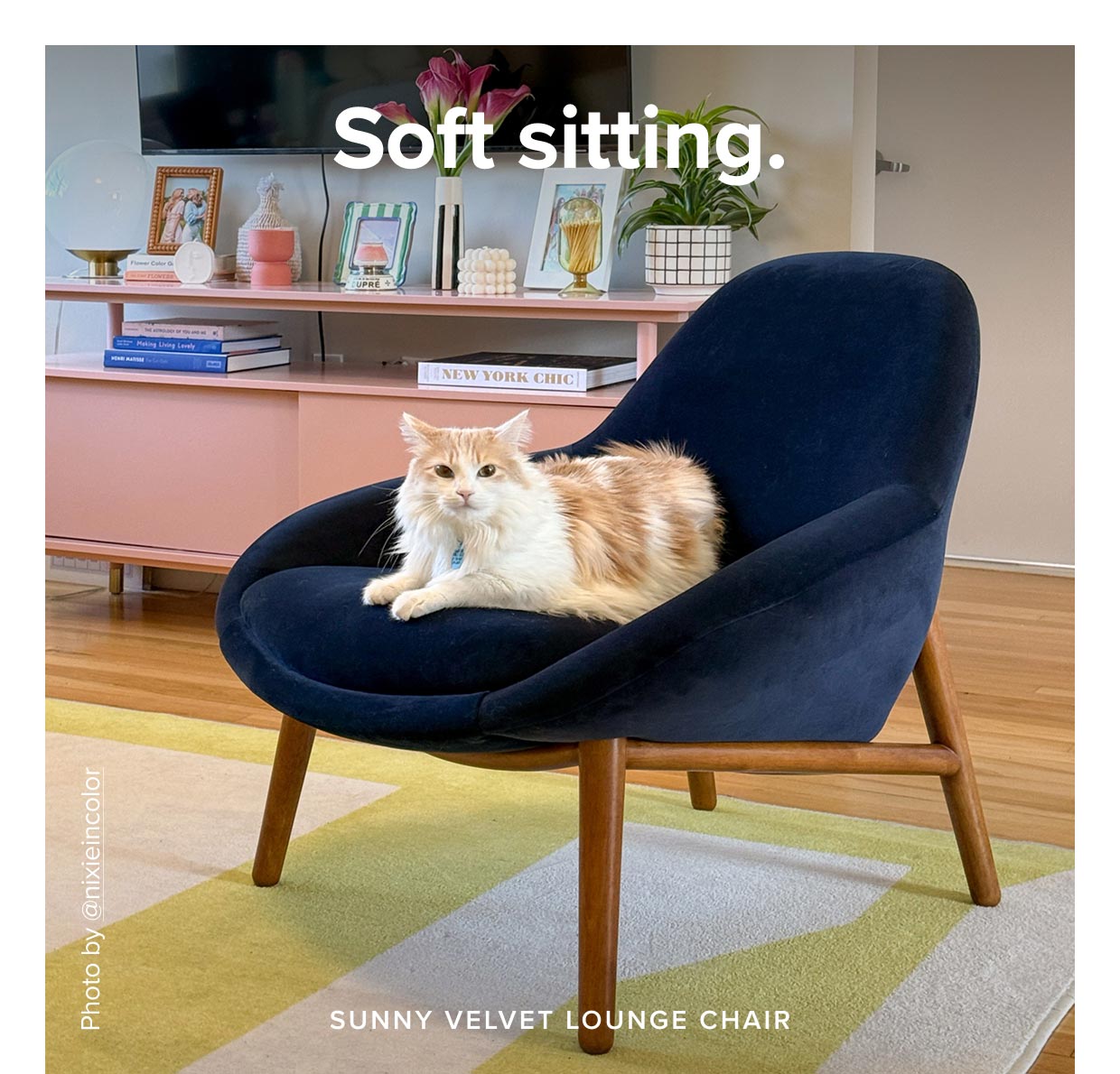 Sunny Velvet Lounge Chair