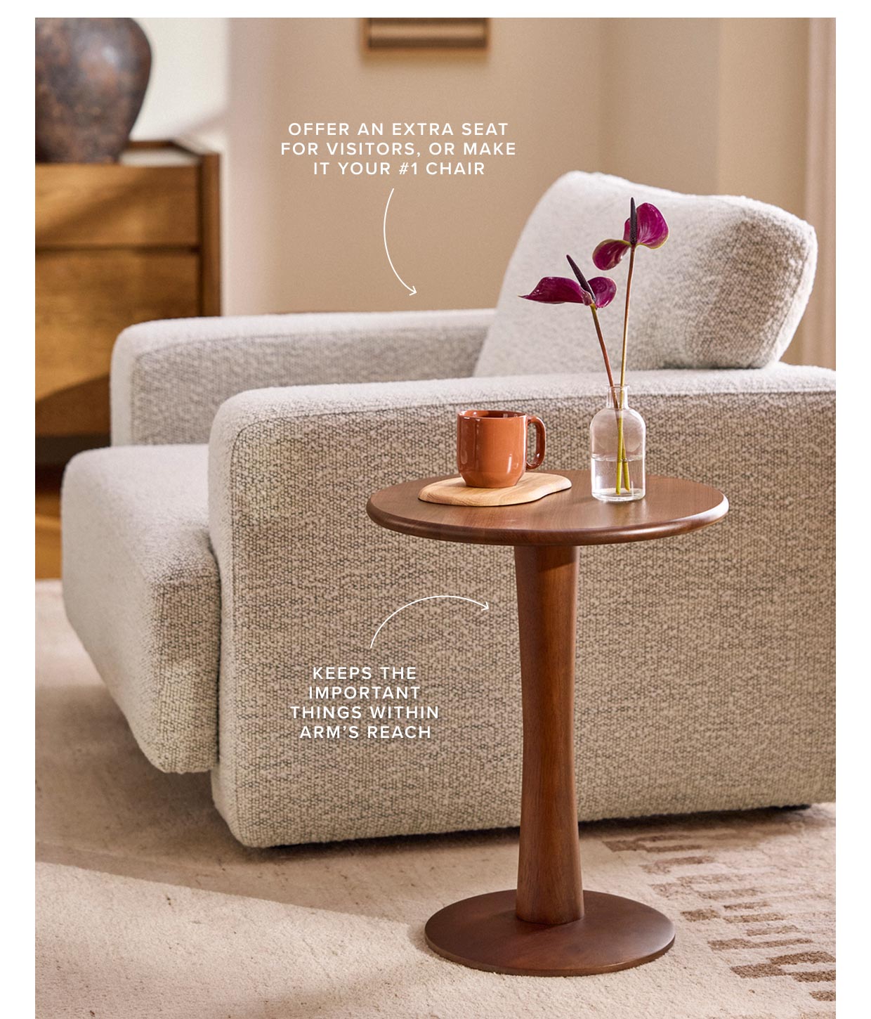 Shop Living Room