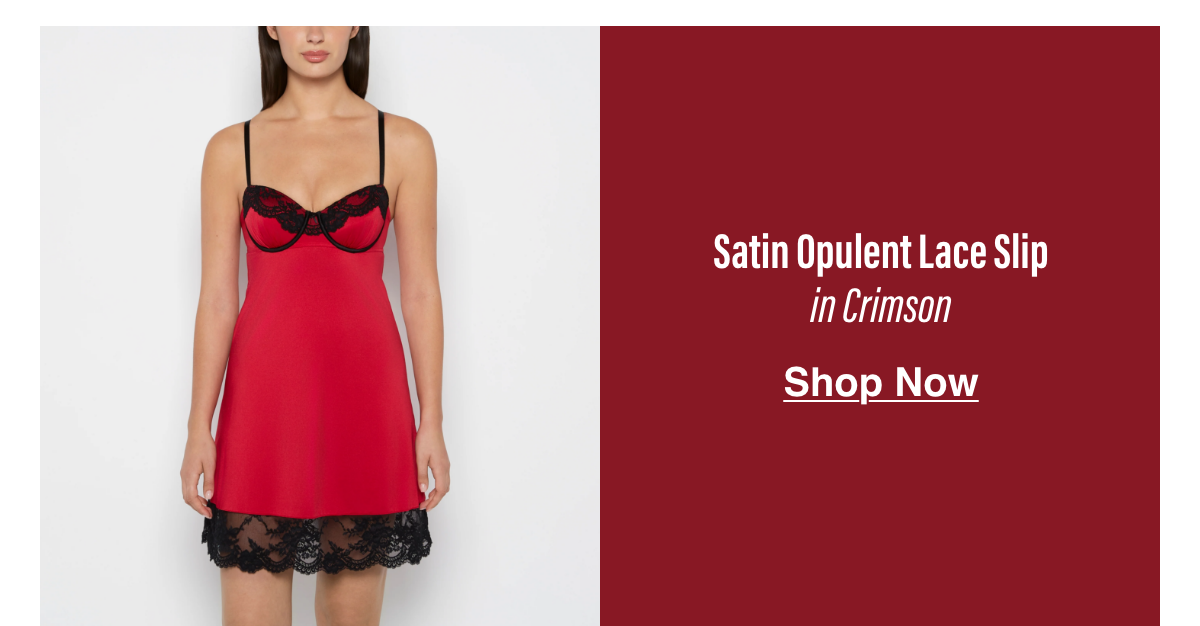 Satin Opulent Lace Slip in Crimson