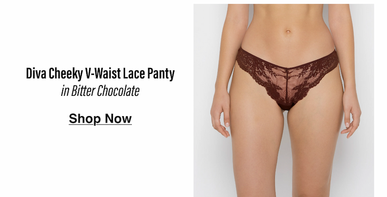 Diva Cheeky V-Waist Lace Panty