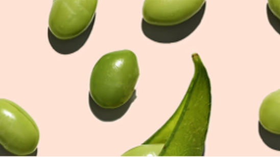 Soy Proteins