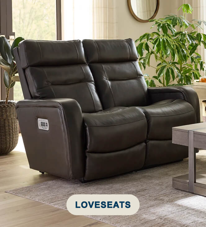 Shop Loveseats